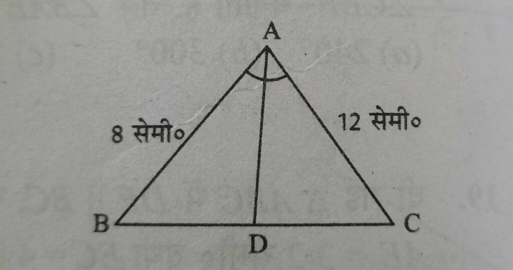 Triangle Sides [Q11]